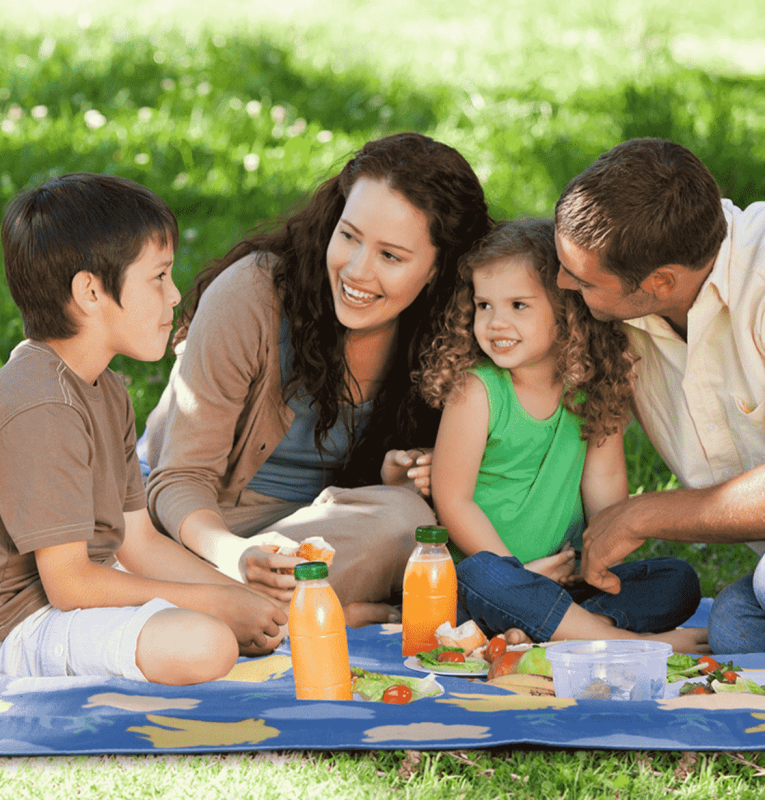 thảm picnic gấp gọn NatureHike NH17Y020-L-1